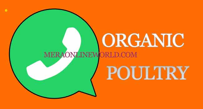 Organic Poultry Whatsapp Group Link
